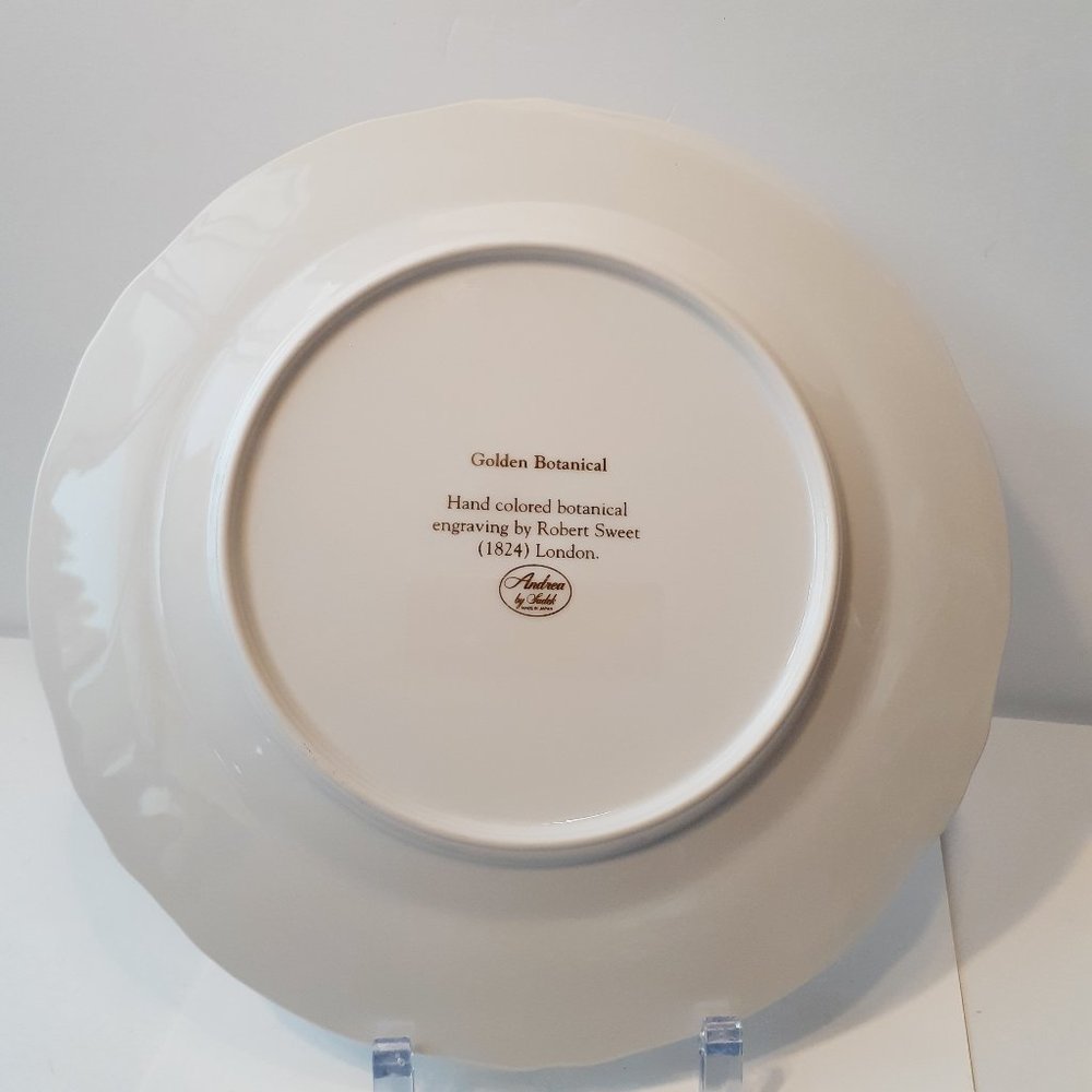 Andrea by Sadek, Golden Botanical by Robert Sweet 1824 London Plate 10 1/2"- - Picture 4 of 8